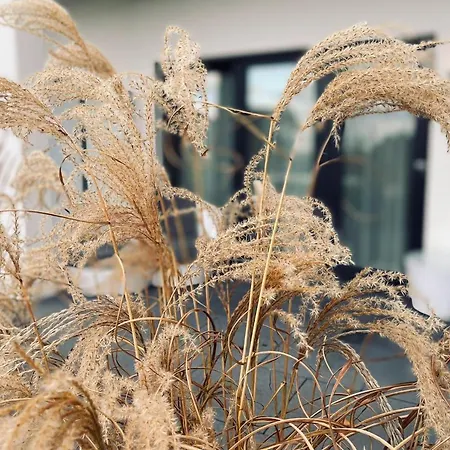 Strandhotel Luv 酒店 4*